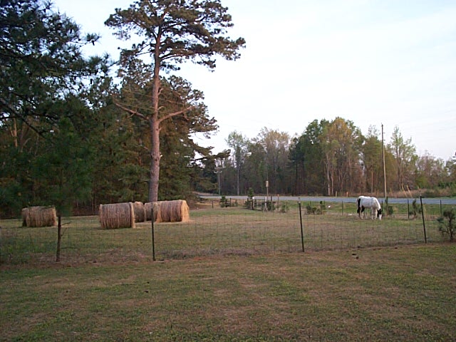 2007 Timber Ranch & Kennels