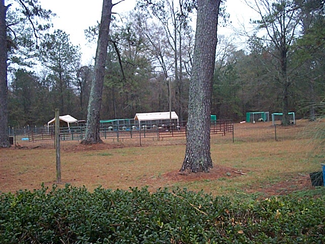 2008 Timber Ranch & Kennels