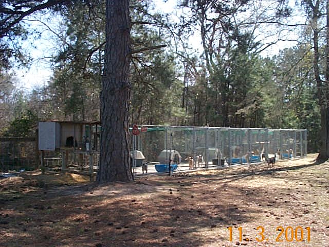 Timber Kennels in the Fall of 2001