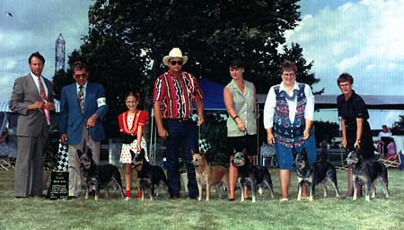 Buzzard Brood Bitch class ACDCA 1996