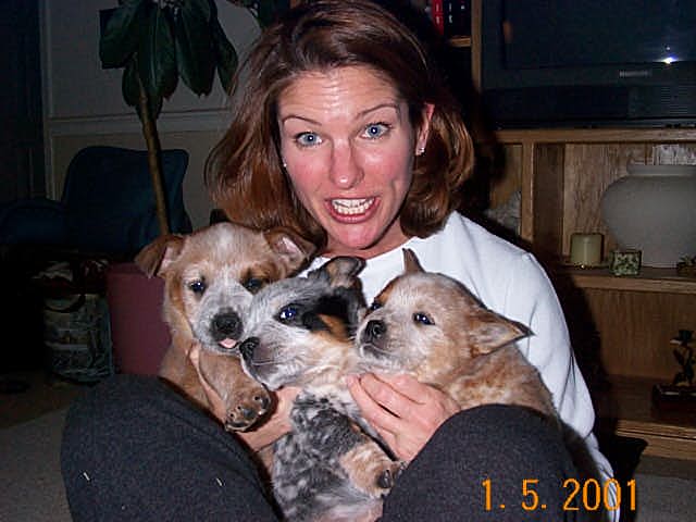 jill & pups