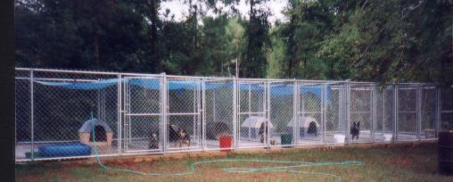 Timber Kennels pictured in 1997