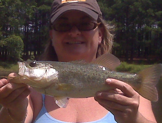 lisa fishn