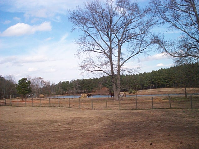 Timber Ranch