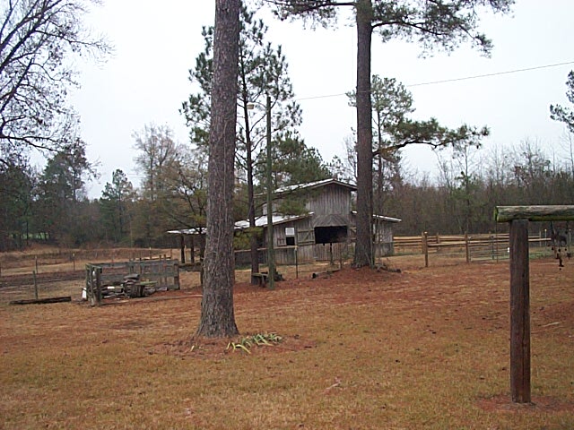 2008 Timber Ranch & Kennels