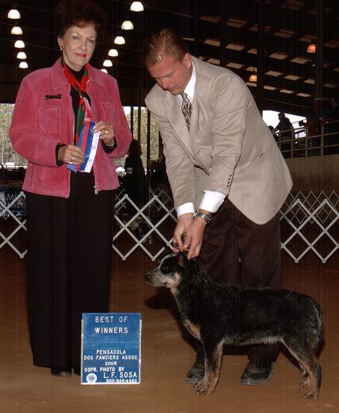 Ashe Best of Winners, Pensacola 2006