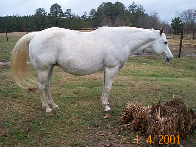 Blue pregnant