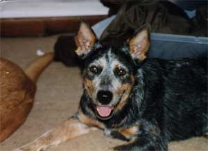 Brianna