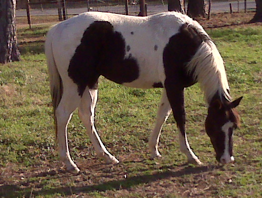 2009