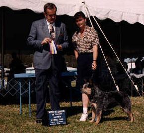 Daphne show photo