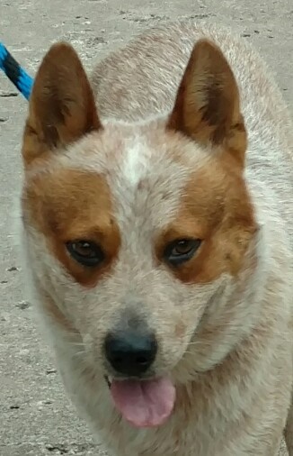 George