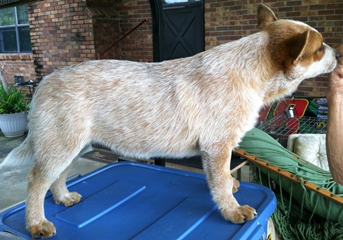George June 2012
