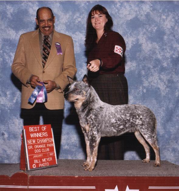 Keo AKC Championship photo