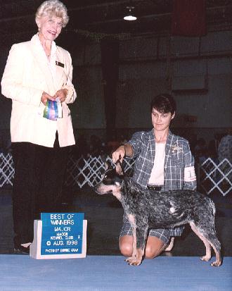 King show photo