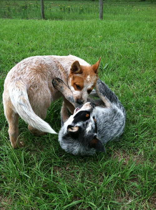 Kissi June 2012