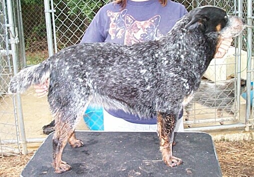 Lovey 5-6-07