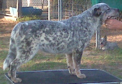 Matilda 6-13-10
