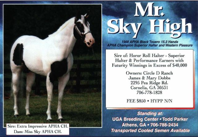 Mr Sky High