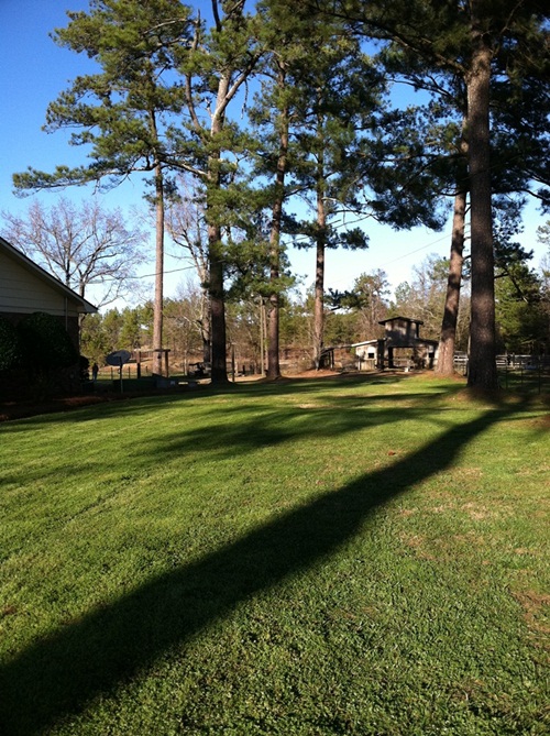 2008 Timber Ranch & Kennels