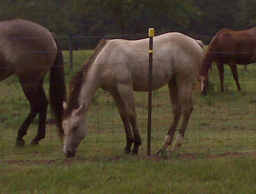 Sandi August 2008