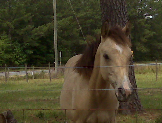 Sandi August 2008