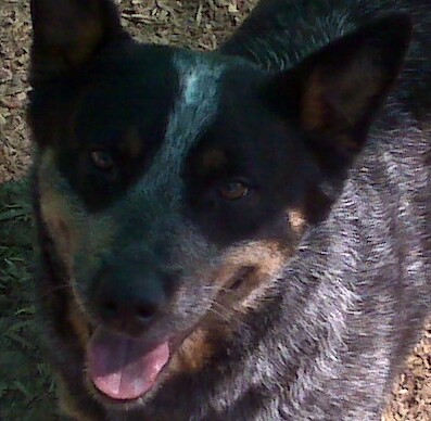 Serra May 2008