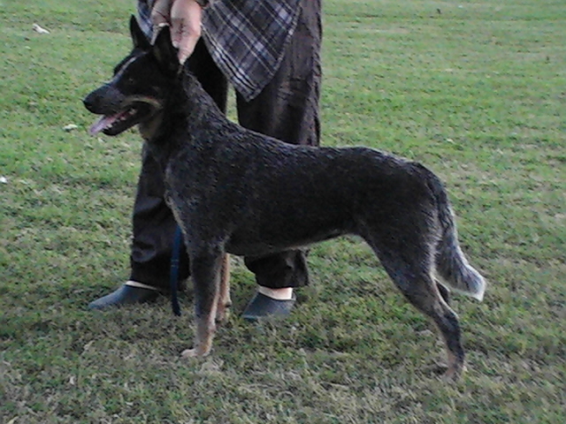 Serra May 2007