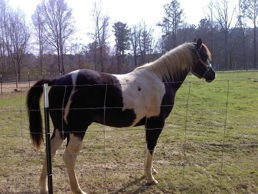 Stryker