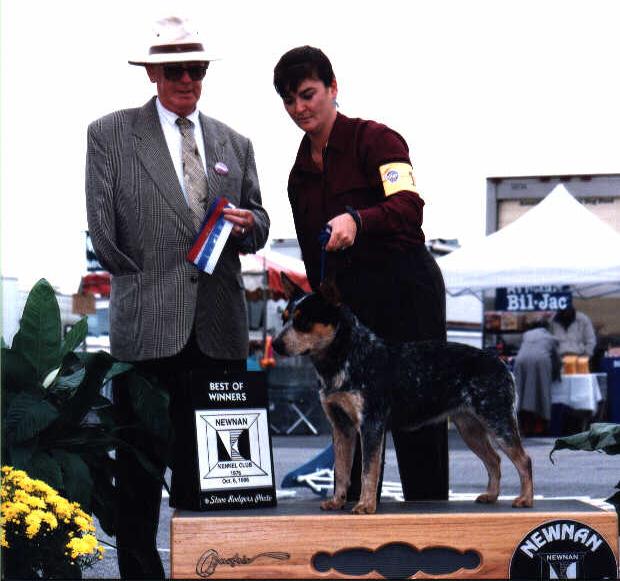 Summer show photo