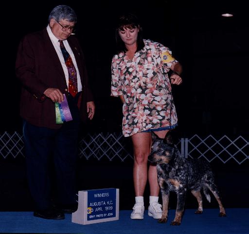 Teddy show photo 2