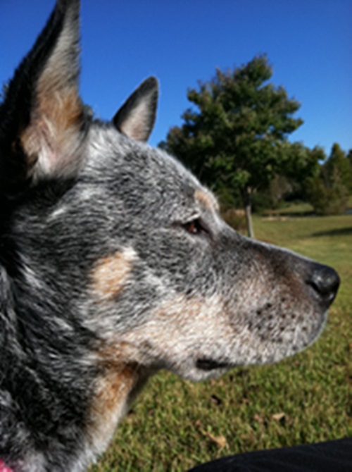 Matilda Oct 2011