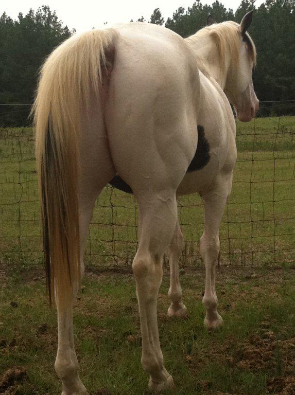 Zeus 2011